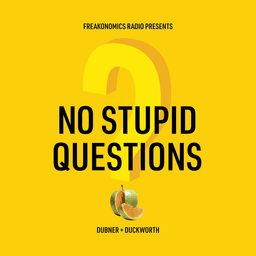 No Stupid Questions podcast cover